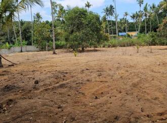 Residential Land for Sale in Trivandrum, Thiruvananthapuram, Murukkumpuzha, Murukkumpuzha