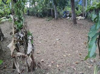 Residential Land for Sale in Kollam, Kottarakkara, Neduvathoor