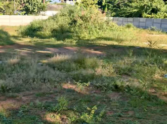Residential Land for Sale in Thrissur, Thrissur, Peramangalam