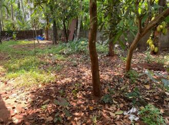Residential Land for Sale in Kozhikode, Beypore, North Beypore, location in Naduvattom Mahe, North Beypore calicut