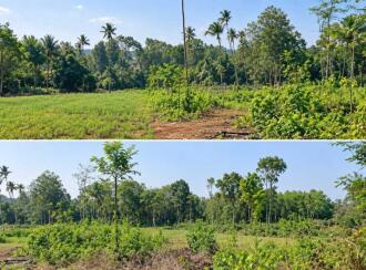 Residential Land, Ernakulam