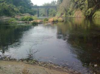 Residential Land for Sale in Ernakulam, Kothamangalam, Varapetty, Elangavam junction