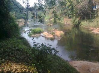 Residential Land for Sale in Ernakulam, Kothamangalam, Varapetty, Elangavam junction