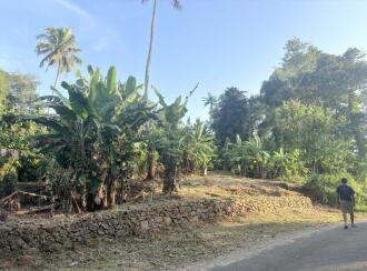 Residential Land for Sale in Pathanamthitta, Mallappally, Keezhuvaipur, Kashayapadi