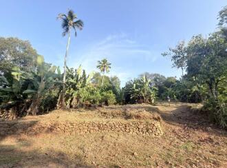 Residential Land for Sale in Pathanamthitta, Mallappally, Keezhuvaipur, Kashayapadi
