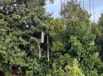 Residential House Villa for Sale in Wayanad, Meenangadi, Meenangadi, Meenangadi