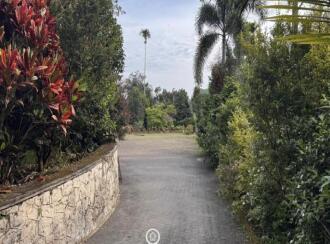 Residential House Villa for Sale in Wayanad, Meenangadi, Meenangadi, Meenangadi