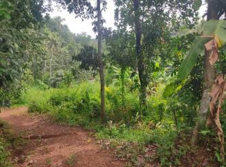 Residential Land for Sale in Kollam, Kottarakkara, Pulamon 
