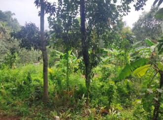 Residential Land for Sale in Kollam, Kottarakkara, Pulamon 