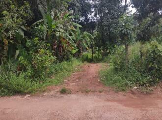 Residential Land for Sale in Kollam, Kottarakkara, Pulamon 