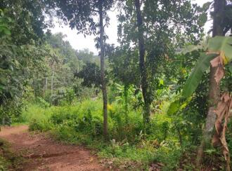 Residential Land for Sale in Kollam, Kottarakkara, Pulamon 