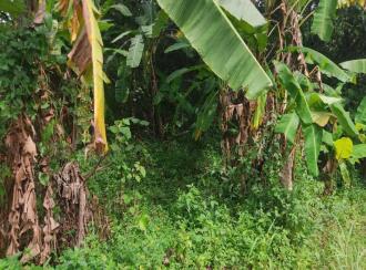 Residential Land for Sale in Kollam, Kottarakkara, Pulamon 