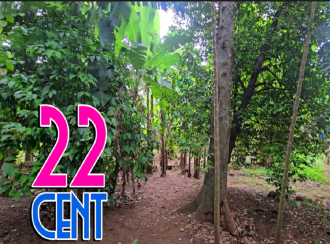 Residential Land for Sale in Kottayam, Changanassery, Changanassery, masjid road near st thomas orthodox chruch