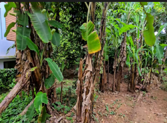 Residential Land for Sale in Kottayam, Changanassery, Changanassery, masjid road near st thomas orthodox chruch