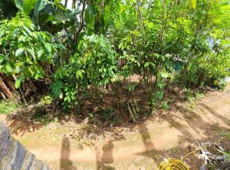 Residential Land for Sale in Kottayam, Kottayam town, Puthuppally, Vettathukavala