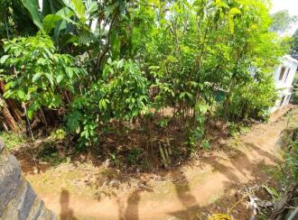 Residential Land for Sale in Kottayam, Kottayam town, Puthuppally, Vettathukavala