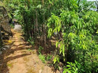 Residential Land for Sale in Kottayam, Kottayam town, Puthuppally, Vettathukavala