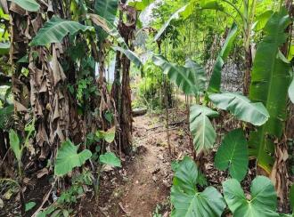 Residential Land for Sale in Kottayam, Kottayam town, Puthuppally, Vettathukavala