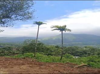 Commercial Land for Sale in Wayanad, Kalpetta, Meppadi, Kappam Kolli
