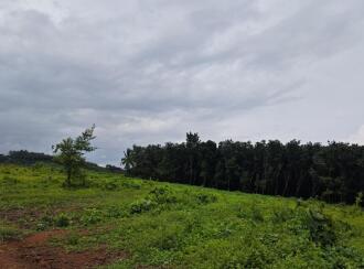 Residential Land for Sale in Palakkad, Mannarkkad, Mannarkad