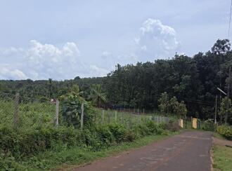Residential Land for Sale in Palakkad, Mannarkkad, Mannarkad
