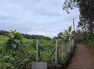 Residential Land for Sale in Palakkad, Mannarkkad, Mannarkad