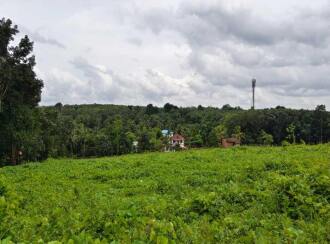 Residential Land for Sale in Palakkad, Mannarkkad, Mannarkad