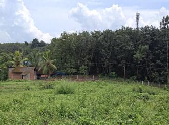Residential Land for Sale in Palakkad, Mannarkkad, Mannarkad