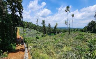 Residential Land for Sale in Kottayam, Ettumanoor, Vempally, Vempally-Kanakkari Link Road