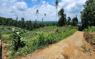 Residential Land for Sale in Kottayam, Ettumanoor, Vempally, Vempally-Kanakkari Link Road