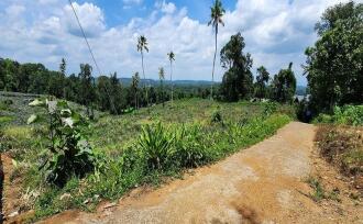 Residential Land for Sale in Kottayam, Ettumanoor, Vempally, Vempally-Kanakkari Link Road