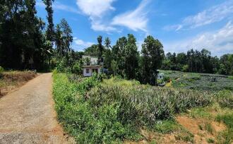 Residential Land for Sale in Kottayam, Ettumanoor, Vempally, Vempally-Kanakkari Link Road