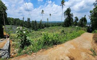 Residential Land for Sale in Kottayam, Ettumanoor, Vempally, Vempally-Kanakkari Link Road
