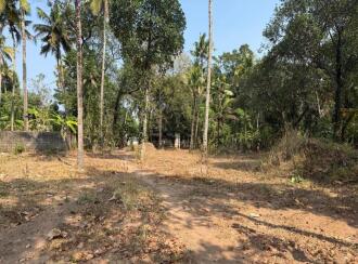 Commercial Land for Sale in Kollam, Parippally, Parippally Town, Mukkada Junction