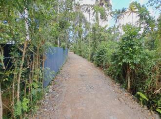 Residential Land for Sale in Alleppey, Cherthala, Cherthala town, Near Devi Vilasam NSS Karayogam.