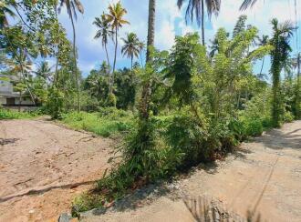 Residential Land for Sale in Alleppey, Cherthala, Cherthala town, Near Devi Vilasam NSS Karayogam.