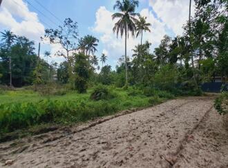 Residential Land for Sale in Alleppey, Cherthala, Cherthala town, Near Devi Vilasam NSS Karayogam.