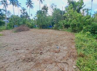 Residential Land for Sale in Alleppey, Cherthala, Cherthala town, Near Devi Vilasam NSS Karayogam.