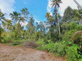 Residential Land for Sale in Alleppey, Cherthala, Cherthala town, Near Devi Vilasam NSS Karayogam.
