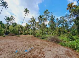 Residential Land for Sale in Alleppey, Cherthala, Cherthala town, Near Devi Vilasam NSS Karayogam.