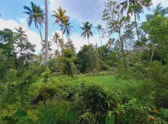Residential Land for Sale in Alleppey, Cherthala, Cherthala town, Near Devi Vilasam NSS Karayogam.