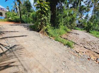 Residential Land for Sale in Alleppey, Cherthala, Cherthala town, Near Devi Vilasam NSS Karayogam.