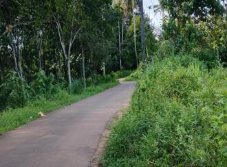 Residential Land for Sale in Ernakulam, Muvattupuzha, Marady