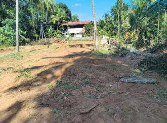 Residential Land for Sale in Thrissur, Thrissur, Pottore, Near , Bharatiya Vidya Bhavan