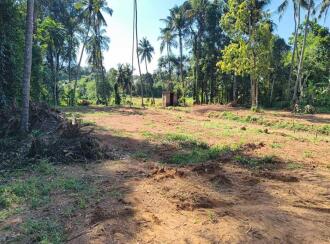 Residential Land for Sale in Thrissur, Thrissur, Pottore, Near , Bharatiya Vidya Bhavan