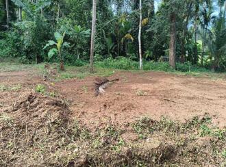 Residential Land for Sale in Thrissur, Thrissur, Pottore, Near , Bharatiya Vidya Bhavan