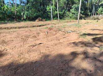Residential Land for Sale in Thrissur, Thrissur, Pottore, Near , Bharatiya Vidya Bhavan