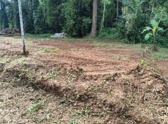 Residential Land for Sale in Thrissur, Thrissur, Pottore, Near , Bharatiya Vidya Bhavan