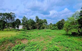 Residential Land for Sale in Kollam, Pathanapuram, Pathanapuram, connecting rd between Karamood and Manchalloor