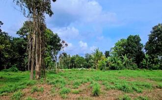 Residential Land for Sale in Kollam, Pathanapuram, Pathanapuram, connecting rd between Karamood and Manchalloor